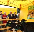 Foto reportaż z Targów Rolno-Ogrodnicze AGROMARSZ Marszew 2011