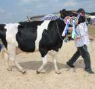 Nagordy dla superchampionów i championów  - 4