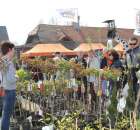 Fotoreportaż z XX Agro-Targów 2011 w Starej Łubiance