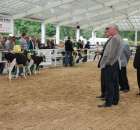 Mali hodowcy Sielinko 2012 - 13