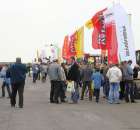 Polskie Zboża Zielone Agroshow - 50