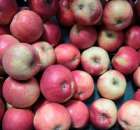 Fotoreportaż z XI Międzynarodowych Targów Fermy Bydła