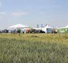 Polskie Zboża 2011 - Sobota