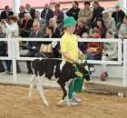 Mali hodowcy Sielinko 2012 - 12