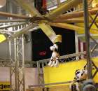 Fotoreportaż  z XI Międzynarodowych Targów Fermy Bydła