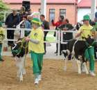 Mali hodowcy Sielinko 2012 - 24