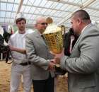 VII Ogólnopolska Wystawa Bydła Hodowlanego - 53