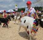 Konkurs Młodego Hodowcy - 22