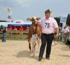 Nagordy dla superchampionów i championów  - 33