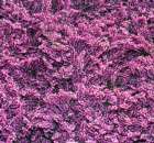 Foto reportaż z Targów Rolno-Ogrodnicze AGROMARSZ Marszew 2011