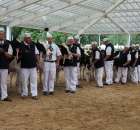 Prezentacja Championów na VII Ogólnopolskiej Wystawie Bydła Hodowlanego w Sielinku 2012 - 9