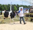 Nagordy dla superchampionów i championów  - 7