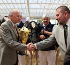 VII Ogólnopolska Wystawa Bydła Hodowlanego - 49