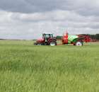 Zielone Agro Show Kąkolewo - Polskie Zboża  - 92