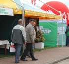 VII Ogólnopolska Wystawa Bydła Hodowlanego - 106