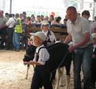 Młody Hodowca - Szepietowo 2012 - 27