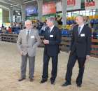 Bydło - Szepietowo 2012 XIX Regionalna Wystawa Zwierząt Hodowlanych - 49