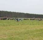Polskie Zboża Zielone Agroshow - 43