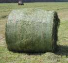 Zielone Agro Show pokaz maszyn rolniczych