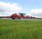 Zielone Agro Show Kąkolewo - Polskie Zboża  - 132