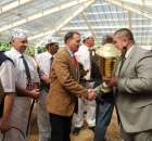 VII Ogólnopolska Wystawa Bydła Hodowlanego - 36