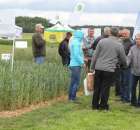 Zielone Agro Show Kąkolewo - Polskie Zboża  - 38