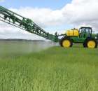 Zielone Agro Show Kąkolewo - Polskie Zboża  - 141