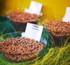 Polagra Premiery 2012 - 46