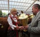 VII Ogólnopolska Wystawa Bydła Hodowlanego - 65