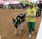 Mali hodowcy Sielinko 2012 - 2