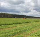 Pokazy Maszyn Polskie Zboża Zielone Agroshow 2012  - 63