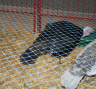 Foto reportaż z Międzynarodowych Targów Hodowli Zwierząt FARMA