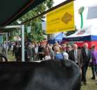 XX Targi Rolnicze Lubniewice