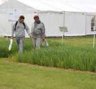Polskie Zboża Zielone Agroshow - 14
