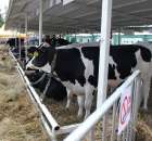 Relacja Foto Agro-Tech Minikowo 2012 - 67