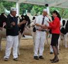 Prezentacja Championów na VII Ogólnopolskiej Wystawie Bydła Hodowlanego w Sielinku 2012 - 43