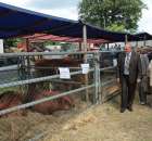 XX Targi Rolnicze Lubniewice