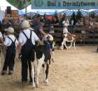 Młody Hodowca - Szepietowo 2012 - 76