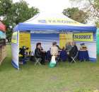 Pierwsze dni indyka w Koźminku