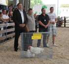 Nagrody - Szepietowo 2012 XIX Regionalna Wystawa Zwierząt Hodowlanych - 44