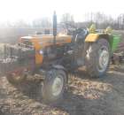 Sadzenie ziemniaków.