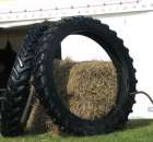 Foto reportaż z AGRO SHOW Bednary 2010