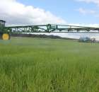 Zielone Agro Show Kąkolewo - Polskie Zboża  - 143