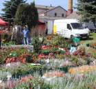 Fotoreportaż z XX Agro-Targów 2011 w Starej Łubiance