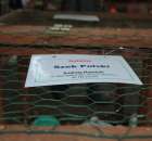 Gołębie Szek Polski