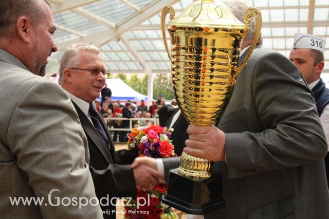 VII Ogólnopolska Wystawa Bydła Hodowlanego - 13