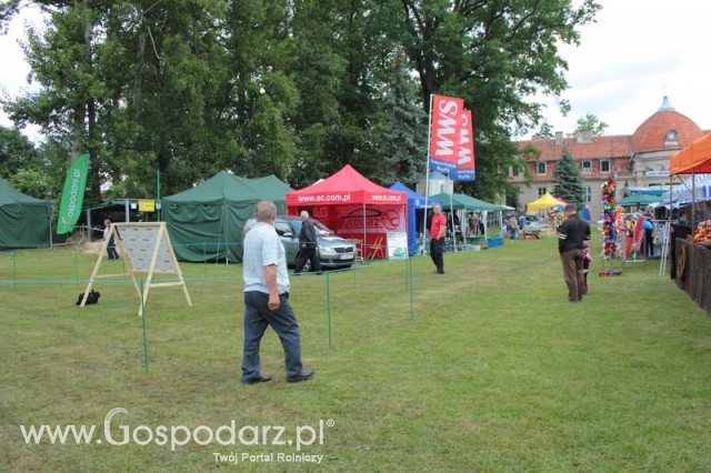 XX Targi Rolnicze Lubniewice