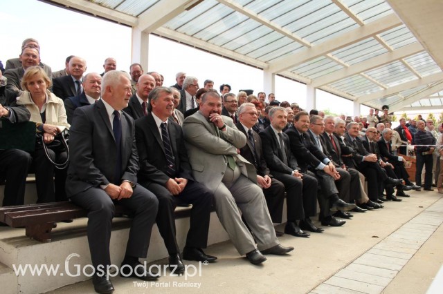 VII Ogólnopolska Wystawa Bydła Hodowlanego - 1