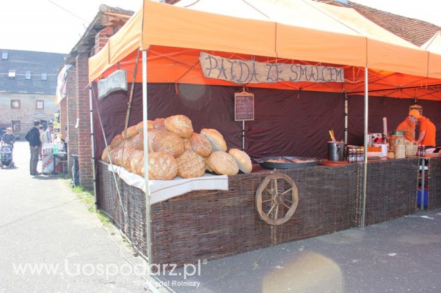 Fotoreportaż z XX Agro-Targów 2011 w Starej Łubiance