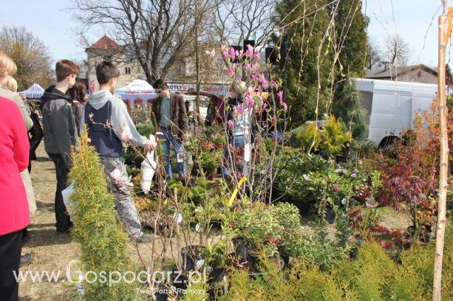 Fotoreportaż z XX Agro-Targów 2011 w Starej Łubiance